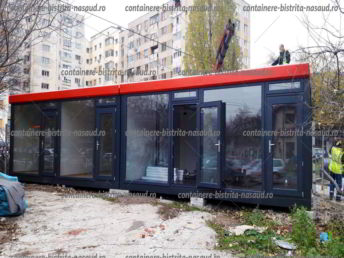 birouri de vanzare timisoara